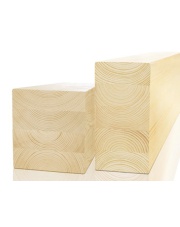 BSH GL24 Si Świerk 80x120mm