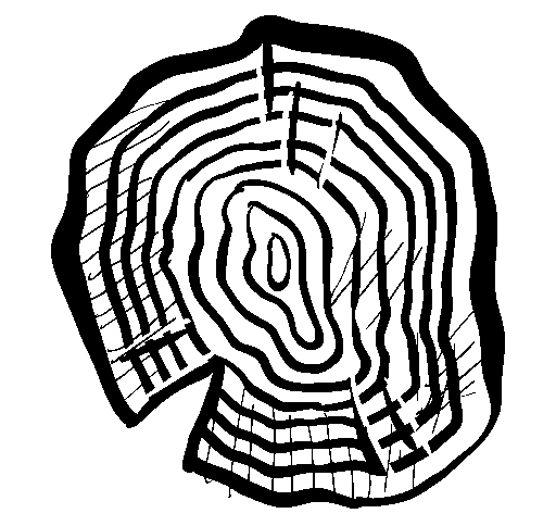 Metamorfoza starego tarasu: przejście z drewna naturalnego na kompozyt – Case Study