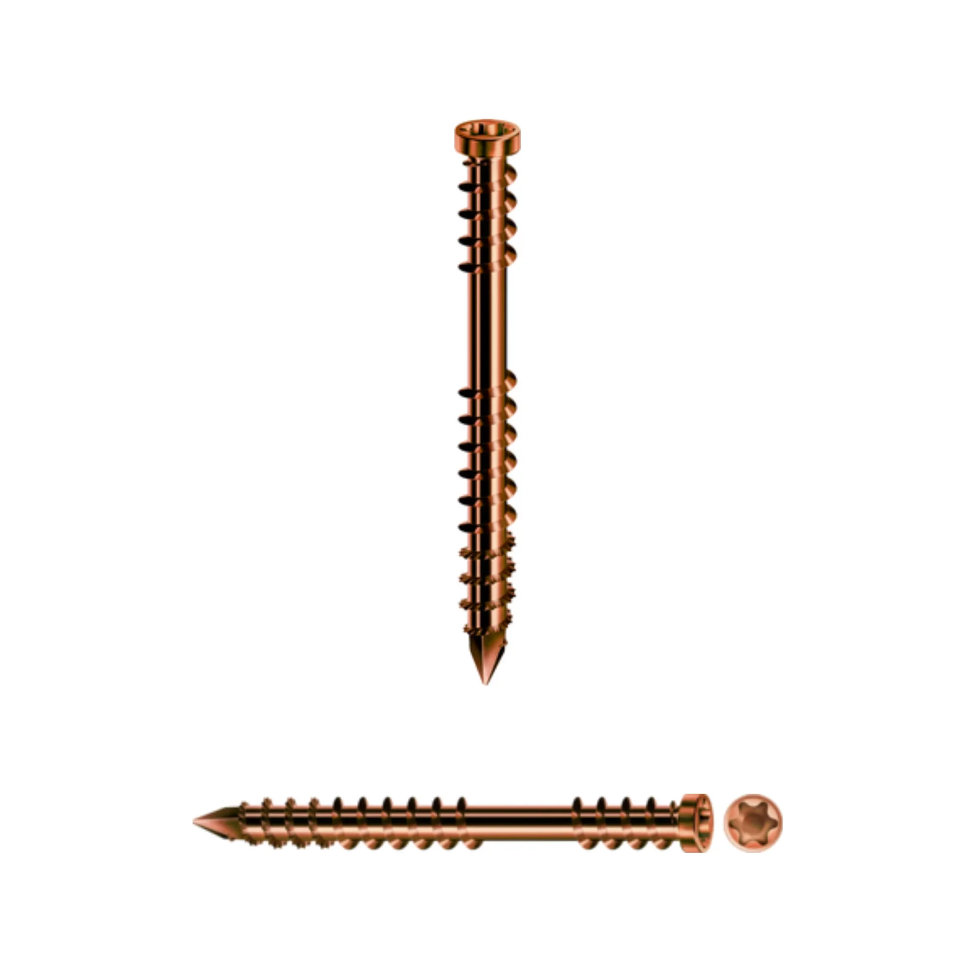 my-project-1-12_big (2)